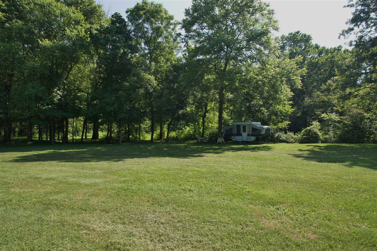 Open Field Camping