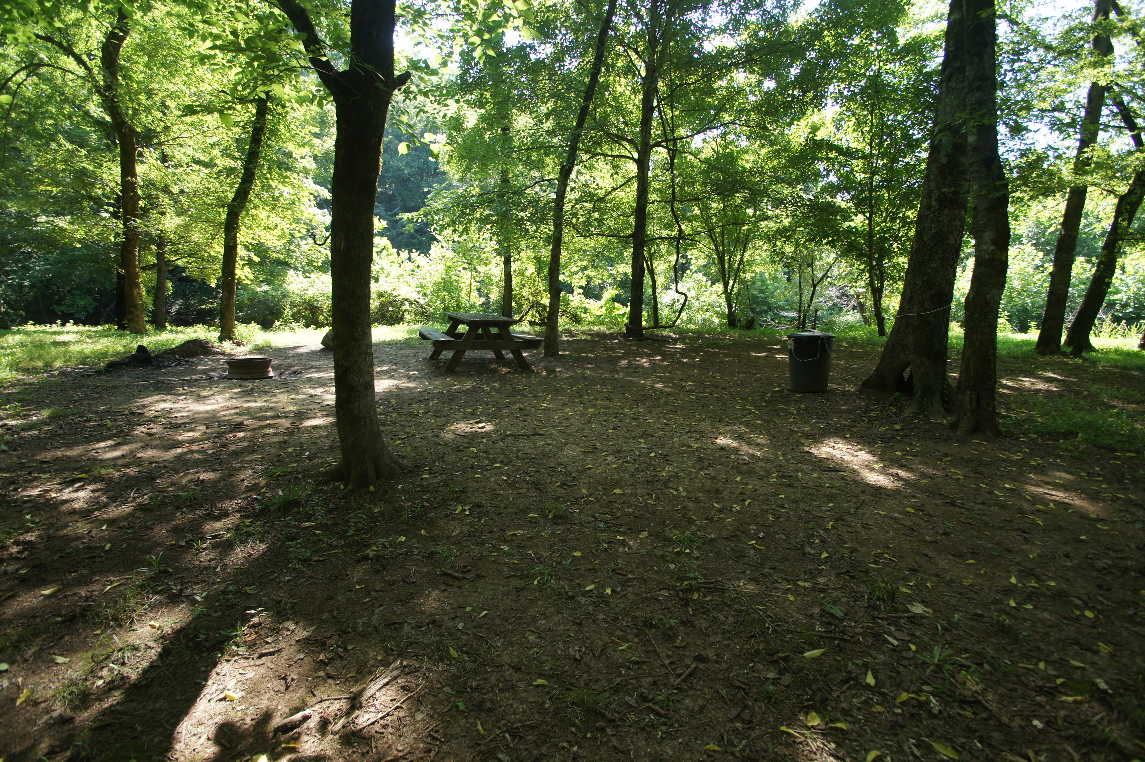 Woods Campsite